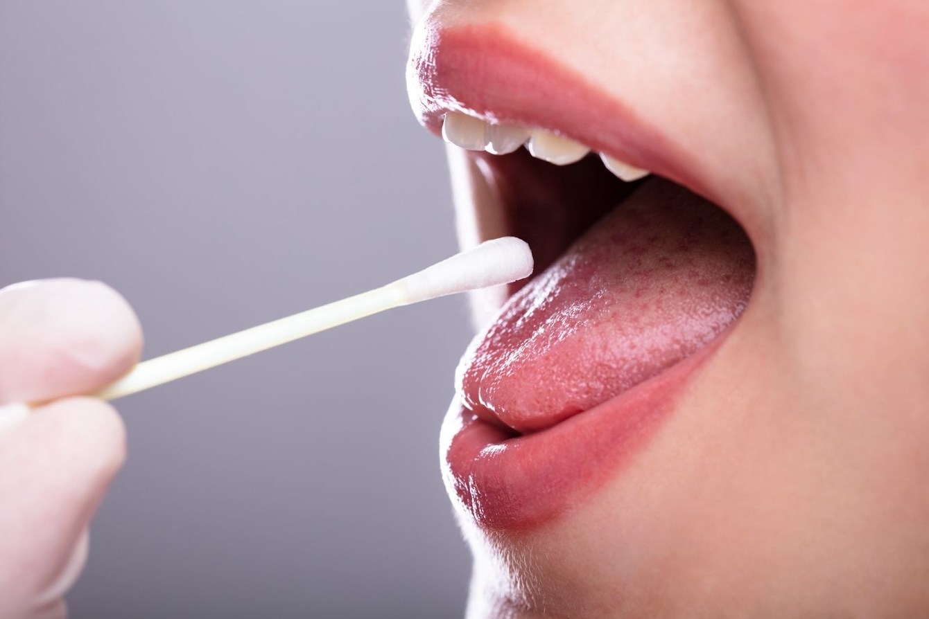 ¿Cual es la función de la saliva en la boca?